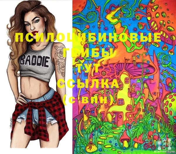 круглые Артём