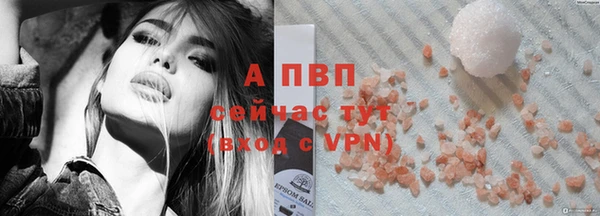 дживик Корсаков
