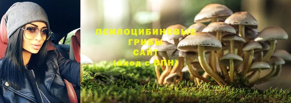 дживик Корсаков