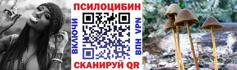 Галлюциногенные грибы мухоморы  Малгобек 