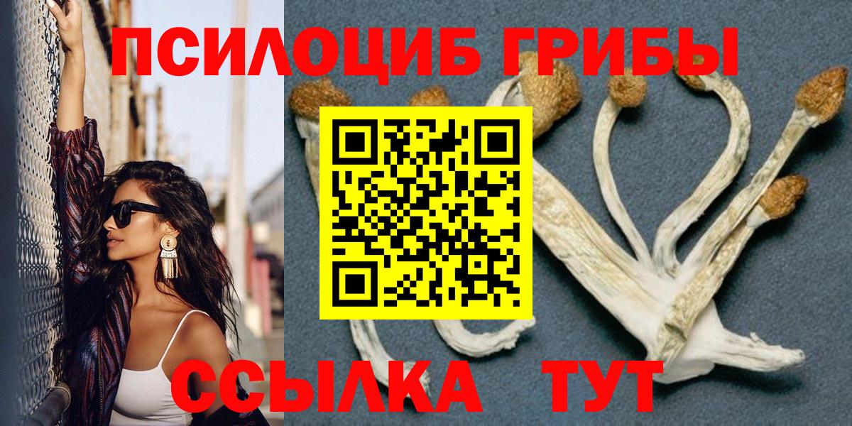 Псилоцибиновые грибы GOLDEN TEACHER Малгобек