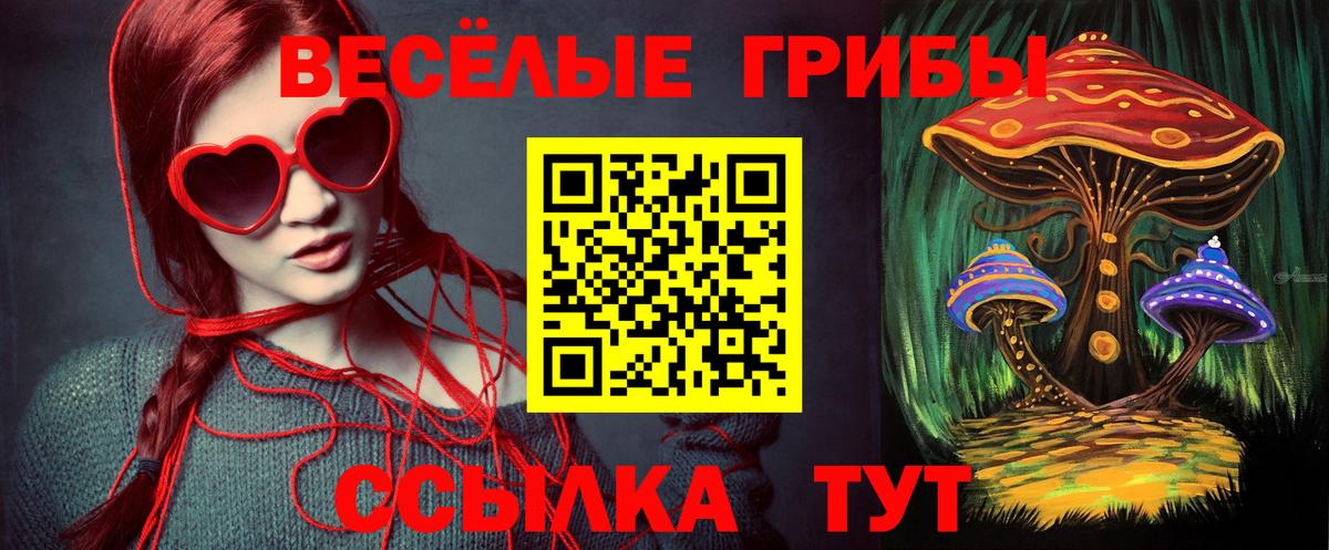 Галлюциногенные грибы ЛСД  Малгобек 