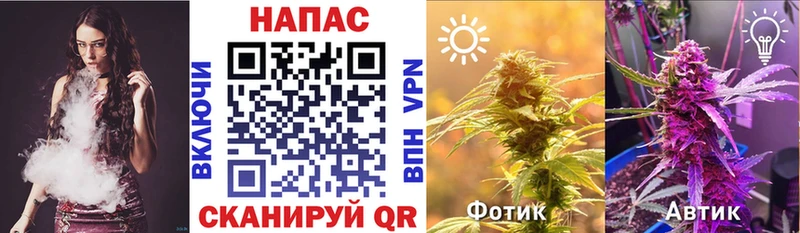 Бошки Шишки SATIVA & INDICA  мега ССЫЛКА  Малгобек 