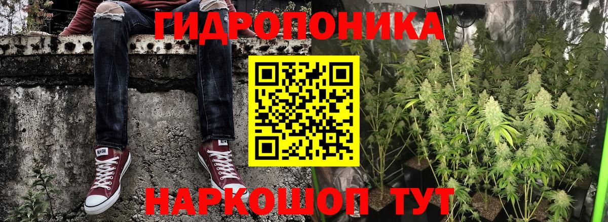 Бошки марихуана план  МАРИХУАНА THC 21%  Бошки Шишки планчик  Бошки марихуана планчик  Малгобек  Вход с VPN 